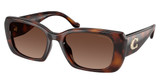 COACH HC8435U CBY82 DARK TORTOISE/5120T5