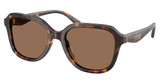 COACH Eyeglasses HC8437F CBY89 DARK TORTOISE/512073