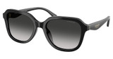 COACH Eyeglasses HC8437F CBY89 BLACK/50023C