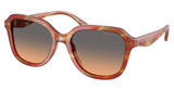 COACH Eyeglasses HC8437U CBY87 STRIATED CHESTNUT/590018