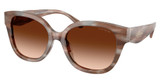 COACH Eyeglasses HC8438U CBY94 STRIATED REDWOOD / MAPLE/590174