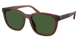 COACH Eyeglasses HC8442U CCA00 MATTE TRANSPARENT BROWN/591171