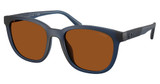 COACH Eyeglasses HC8442U CCA00 MATTE DEEP BLUE/591273