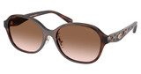 COACH Eyeglasses HC8445D CBY85 DARK TORTOISE/512013