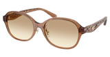 COACH Eyeglasses HC8445D CBY85 TRANSPARENT BROWN/565413