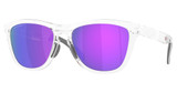 Oakley Eyeglasses OO9503A FROGSKINS RANGE XL A MATTE CLEAR/950305
