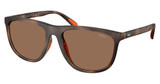 Polo Eyeglasses PH4231U MATTE DARK HAVANA/597473