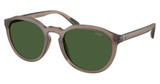 Polo PH4232U MATTE TRANSPARENT BROWN/631371
