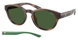 Polo Eyeglasses PH4233U SHINY DARK HAVANA/607071
