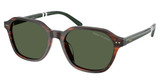 Polo Eyeglasses PH4234U SHINY HAVANA/63159A