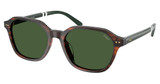 Polo Eyeglasses PH4234U SHINY STRIPED BROWN/631571