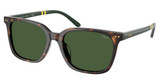 Polo Eyeglasses PH4235U SHINY DARK HAVANA/500371