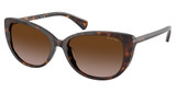 Ralph RA5340U SHINY DARK HAVANA/500313