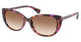 Ralph RA5340U SHINY VIOLET HAVANA/623913