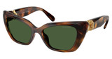 SWAROVSKI Eyeglasses SK6047 HAVANA/100271