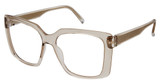 STEPPER Eyeglasses 10164 STS Brown/BRN