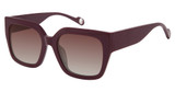 True Religion Eyeglasses T3008 Purple/PUR
