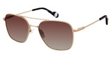 True Religion Eyeglasses T5009 Gold/GLD