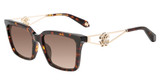 Roberto Cavalli Eyeglasses SRC157M SHINY BROWN YELLOW HAVANA