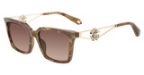 Roberto Cavalli Eyeglasses SRC157M BROWN STONE