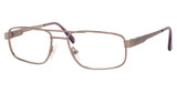 Safilo Elasta Eyeglasses E 3070 BROWN/02U9