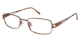 Aristar Eyeglasses AR 16316 Orange/555