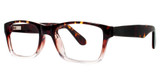 Eye Q Eyewear G510 Tortoise - Fade