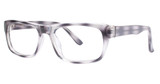 Modern Plastics II Eyeglasses Acquire black tortoise