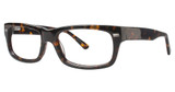 Elan Collection Eyeglasses 3716 Tortoise