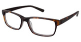 Aristar Eyeglasses AR 18645 Tortoise/532