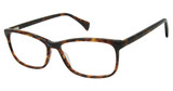 Aristar Eyeglasses AR 18432 Tortoise/532