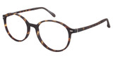 VÄRi Eyeglasses VR9 New Tort/C10