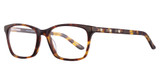 Takumi TK998 Demi Amber/10
