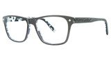 Daisy Fuentes Eyeglasses Daisy Fuentes Inga Black/21