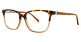 Leon Max Eyeglasses Leon Max 4053 Honey/37