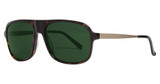 Randy Jackson Eyeglasses Randy Jackson Sun S931P Tortoise/24