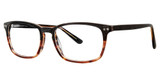 Deja Vu Eyeglasses 9017 Black/Tortoise