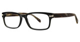 Deja Vu Eyeglasses 9022 Black/Horn