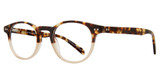 Global Optique Eyeglasses TF1121 DEMI AMBER