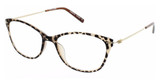 Aspire Eyeglasses Committed TORTOISE