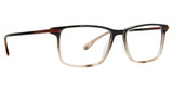 Argyleculture Eyeglasses Ayler Brown/BRWN