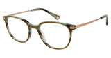 Glen Lane Eyeglasses ENDICOTT OLIVE/OLV