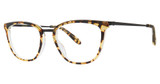 Vera Wang Eyeglasses V557 Tortoise/TO