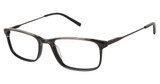 Geoffrey Beene Eyeglasses G530 DARK BROWN HORN/DBR
