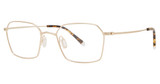 Paradigm Eyeglasses 19-02 Gold/YG