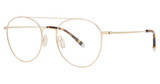 Paradigm Eyeglasses 19-04 Gold/YG