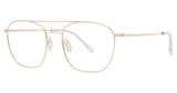 Paradigm Eyeglasses 19-05 Gold/YG
