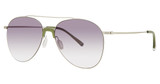 Paradigm Eyeglasses 19-34 Silver/SI