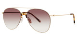 Paradigm Eyeglasses 19-34 Gold/YG