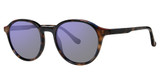 kensie Eyeglasses Accentuate Dark Tortoise/DT